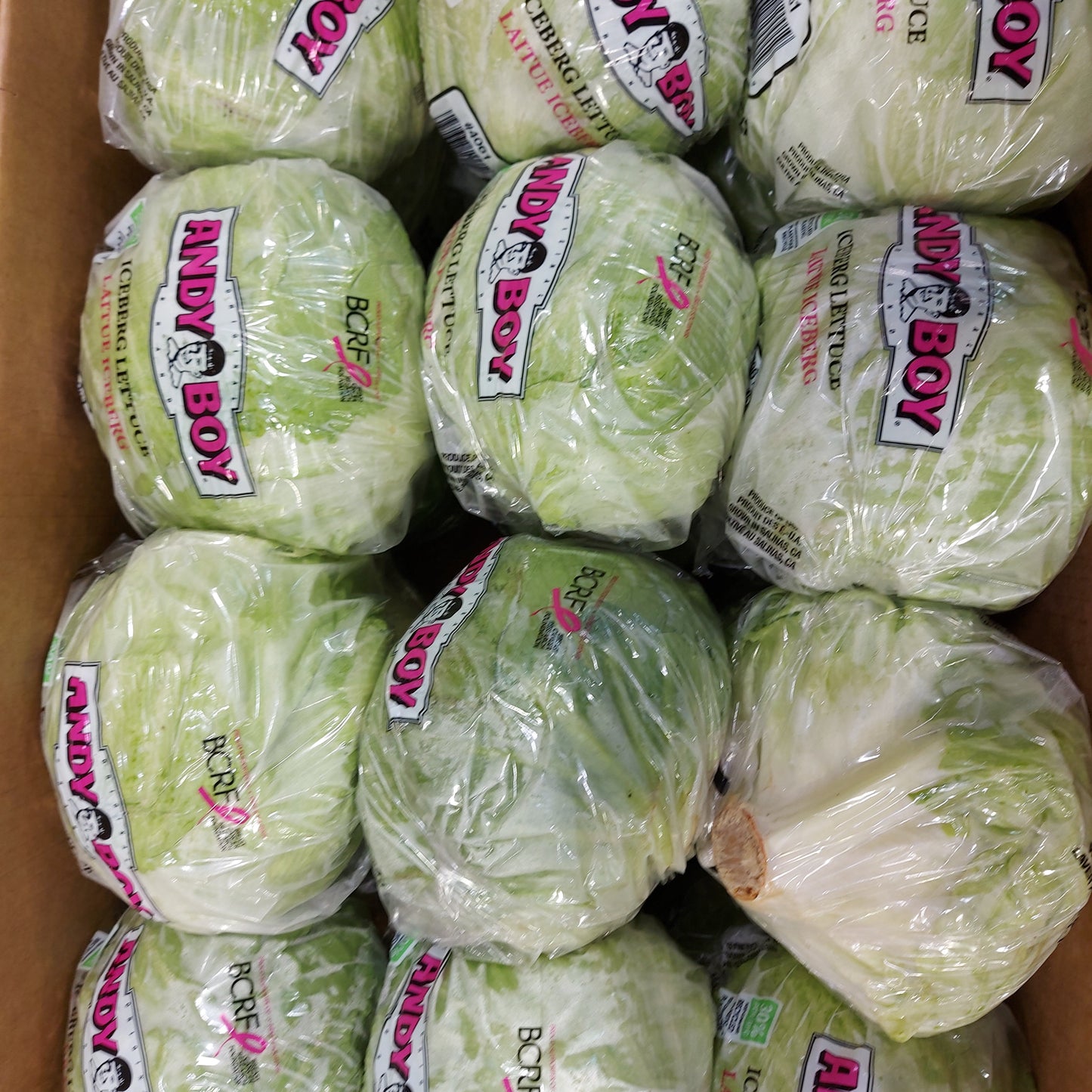 Lettuce - Iceberg ( 24 Heads)