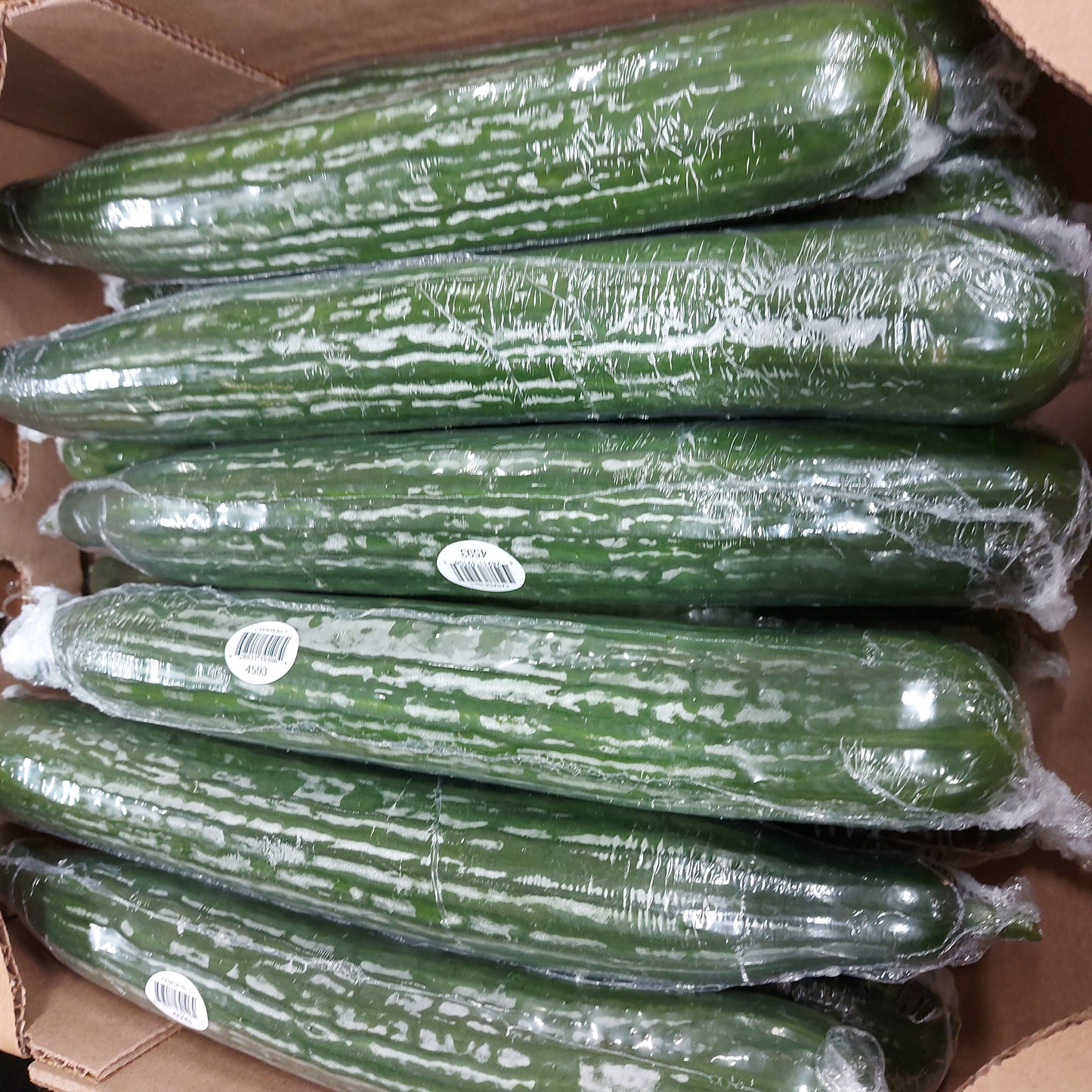 Cucumber - English - Medium ( 12 Count)