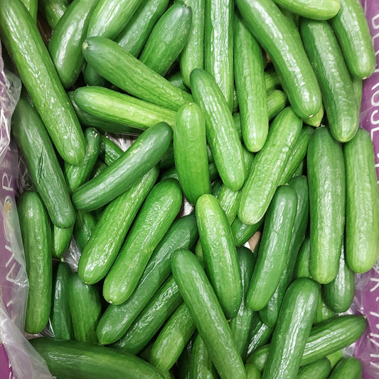 Cucumber - Mini (20lb) 90- 120 Mini Cucumbers - Locally grown in greenhouses