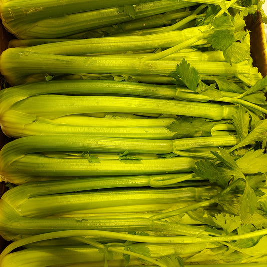 Celery (24 Bunch)