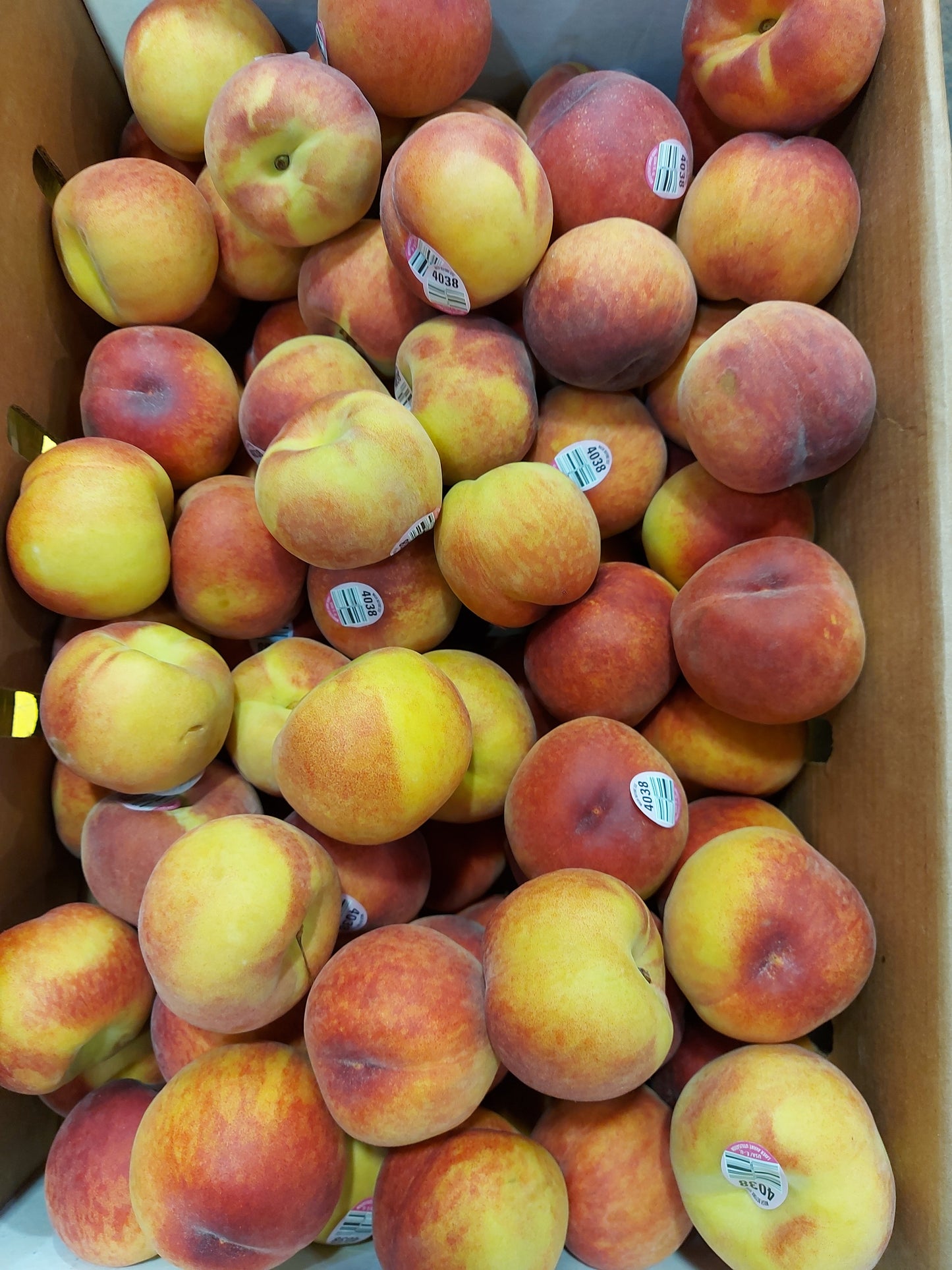 Peaches (25lb) - Roughly 50-70 case count