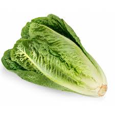Lettuce - Romaine (24 Head)