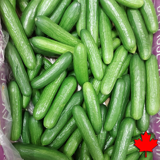 Cucumber - Mini (20lb) 90- 120 Mini Cucumbers - Locally grown in greenhouses