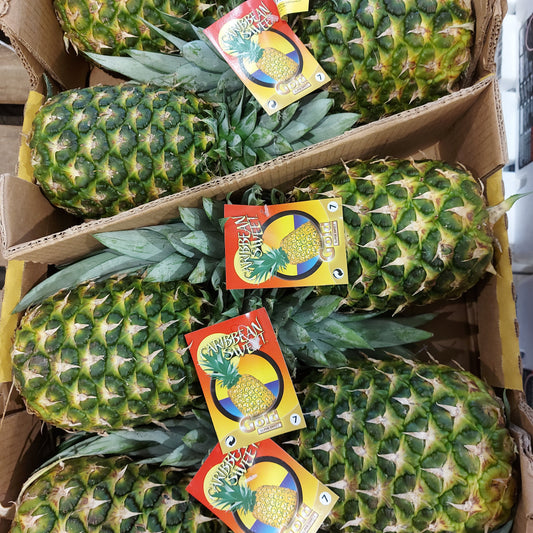 Pineapple - Golden ( 6 Count)