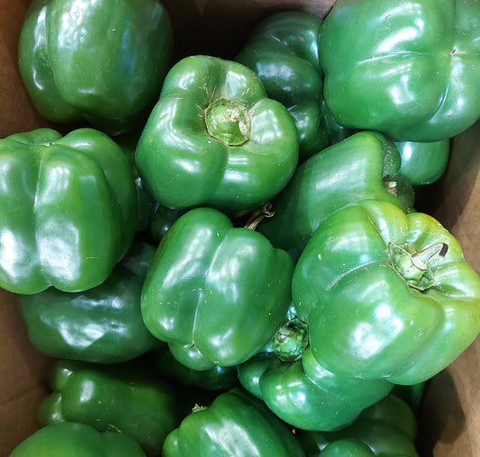 Bell Peppers - Green (11lb)