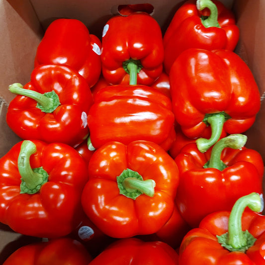 Bell Peppers - Red  (11lb)