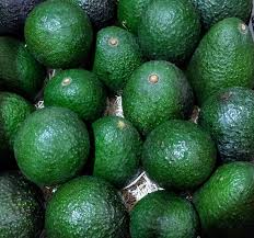Avocado  (20 count)
