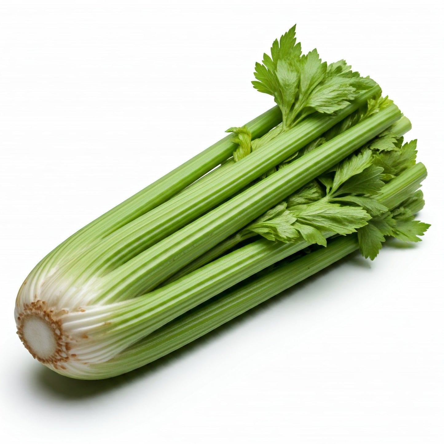 Celery (24 Bunch)