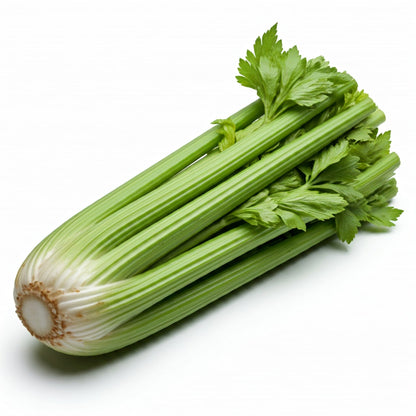 Celery (24 Bunch)